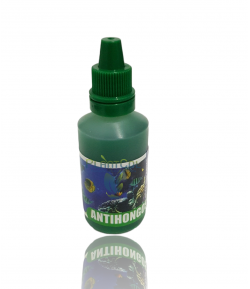 Antihongos Antifungico elimina hongos pudrición cuerpo y aletas