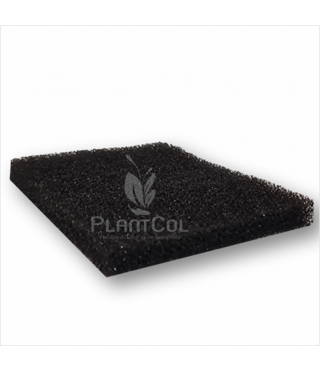 Espuma Biologica Negra 20*15*2cm